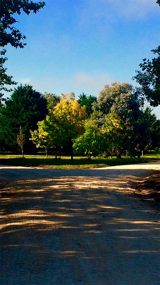 ANDROMEDA 9 16 Expensas 2