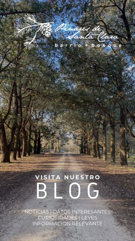 Venta de terrenos con la mejor arboleda de la costa atlántica. Terrenos con escritura en loteo abierto cercado y con entradas solo de propietarios. Seguridad para tu familia.