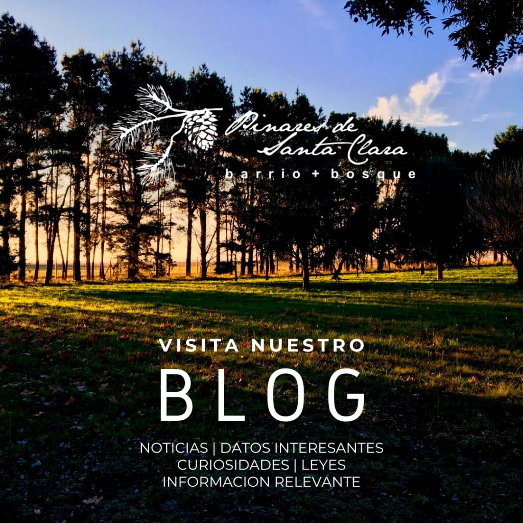 Lotes en venta sin expensas, terrenos amplios ideales para invertir o construir vivienda familiar en Santa Clara del Mar. venta de terrenos con escritura inmediata